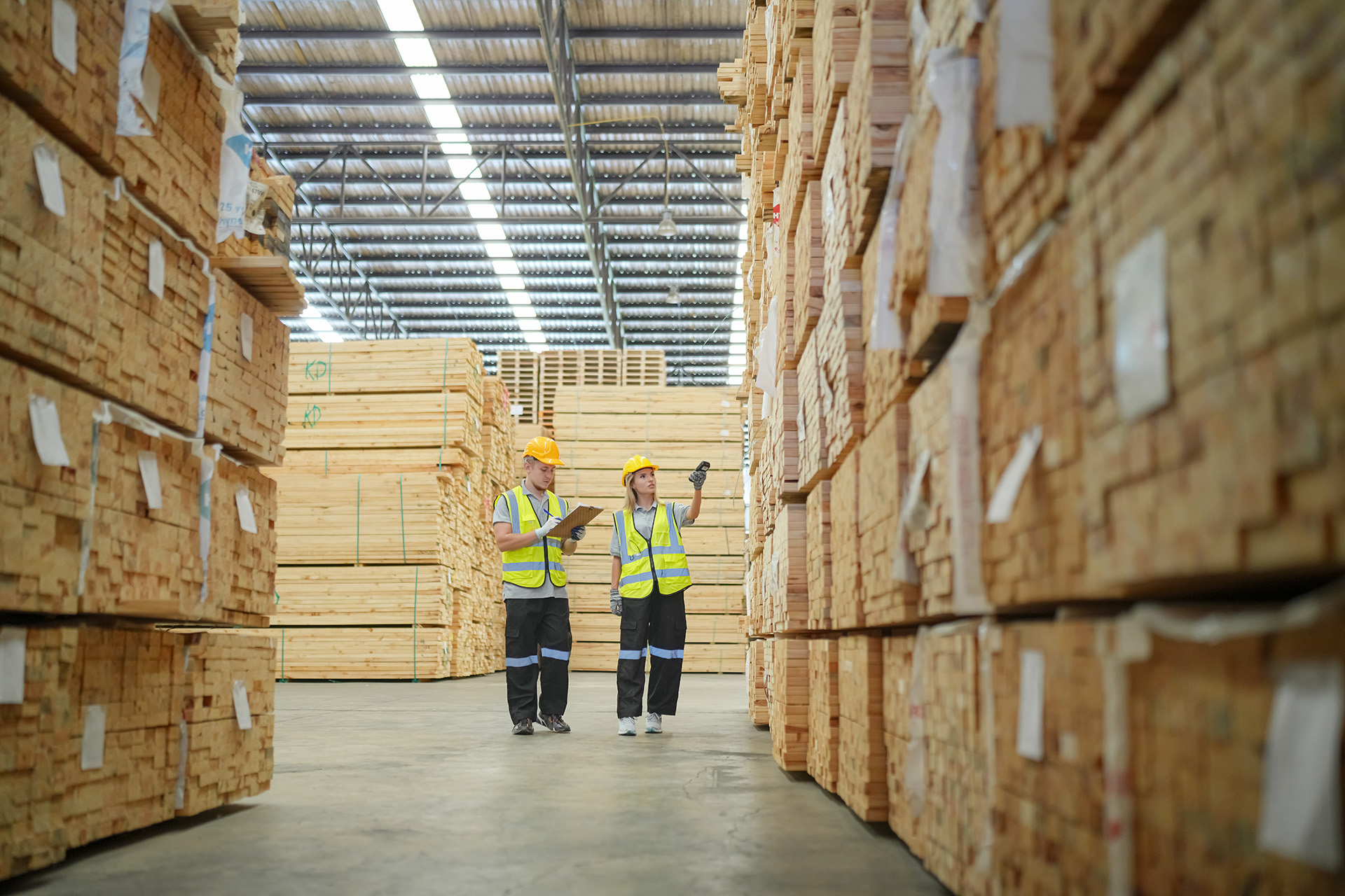 Logistics Project and Process Management
